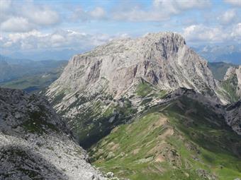 Uno spicchio di paradiso con tutti i colori del mondo che si ritrovano, stretti stretti, ad abbracciarsi, per approfittare di quell’esiguo verde, così morbido! Da provare scalzi! Incredule, le zampe ormai abituate a calpestii secchi e decisi, s’abbandonan