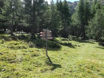 Con un traverso sul prato raggiungiamo la carrareccia superiore dove troviamo l'importante bivio con le diverse vie di salita al Lutterkopf-Monte Luta  ed alle Purschtal Almen.<br />