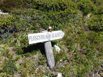 Lasciata la vetta seguiamo ora le indicazioni su un cartello ligneo del sentiero 2 verso la Purschtal Alm e la Blauspitze.<br />