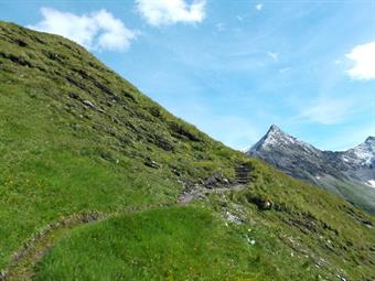 Raggiungiamo così le pendici della Blauspitze, ma per arrivare sul punto più elevato, dobbiamo lasciare il sentiero 2 in corrispondenza di alcuni scalini in legno e proseguire verso sinistra lungo il pendio erboso.