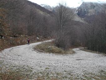 Tralasciando a sinistra le indicazioni verso il Krasji Vrh e la Planina Zaprikraj, proseguiamo a destra raggiungendo in breve la carrareccia, che seguiamo fino al successivo tornante a sinistra.