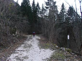 Raggiunta in breve una carrareccia, continuiamo il nostro cammino a destra ignorando poco dopo una deviazione segnalata.