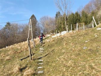 Attraversato con una svolta a sinistra un solco torrentizio, saliamo nel rado bosco fino a raggiungere un ampio pascolo, che attraversiamo costeggiando alcune recinzioni, dopo aver richiuso alle nostre spalle un cancelletto.