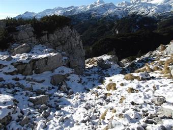 Ritorniamo quindi al bivio sotto il Cukla, dove riprendiamo la via del ritorno.<br />