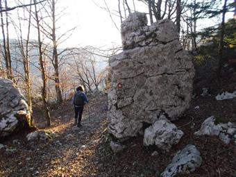 Lasciata la piccola radura, riguadagniamo il sentiero segnalato e riprendiamo la via del ritorno.