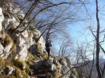 Percorsi pochi metri lasciamo la carrareccia e seguiamo a destra il sentiero segnalato verso il Rombon, che nel primo tratto s'inerpica in una zona rocciosa  trasformandosi poi in  sassosa mulattiera e con ripide svolte nella faggeta ci porta subito a gua