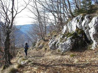 Ignorando la deviazione a destra , diretta alla Planina Goricica, seguiamo in discesa la prosecuzione della mulattiera fino ad intravvedere a sinistra l'evidente dorsale del Na Vrh Robu.