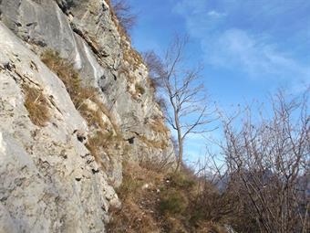 Seguendo la flebile traccia raggiungiamo quindi la strapiombante parete rocciosa discendente dalla quota 1583 del Cukla.