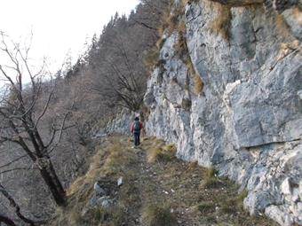 Ritornati alla larga mulattiera a mezzacosta ne seguiamo l'andamento fino all'incrocio con il sentiero segnalato discendente dalla Planina Goricica.