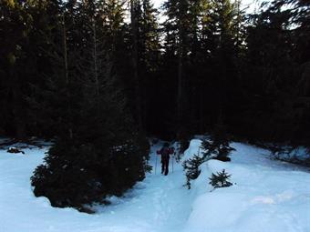 Valicato un cancello in legno intersechiamo una carrareccia e proseguiamo in discesa nel bosco.