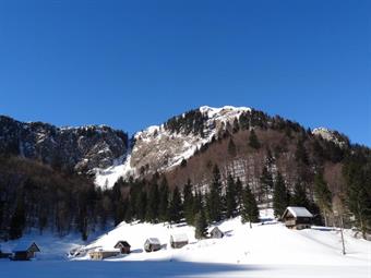 Bohinj I : Planina Na Črno Goro (11.02.2015)