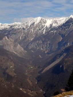 La cima, che pare completamente protetta dal bosco, regala una bella visuale verso il Bogatin. Sempre seguendone la schiena si cala a piacere verso la sella ove s’incontra una mulattiera che sale alla vicina planina Školi. Curiosata la malga si esce dal c