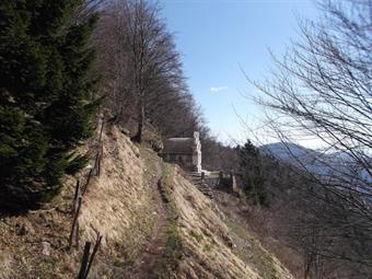 Il segnavia dell'Alpe Adria Trail ci riporta quindi al ripiano panoramico della Cappella Bes.