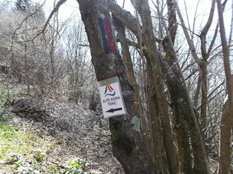 1. Le indicazioni dell'Alpe Adria Trail sono comprese dei tempi di percorrenza?<br /><br />Purtroppo no, sono soltanto indicate con dei fogli plasticati appesi agli alberi piuttosto precariamente.
