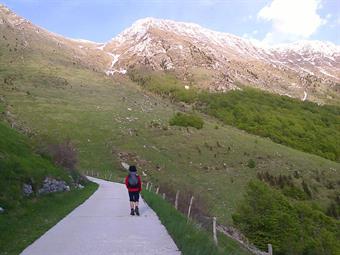 Ignorando la diramazione diretta ad una cascata, riprendiamo il cammino arrivando ad un bivio segnalato dove,  lasciando a sinistra le indicazioni verso il Krasji Vrh e la planina Zaprikraj,  proseguiamo a destra uscendo dalla boscaglia e raggiungendo  nu