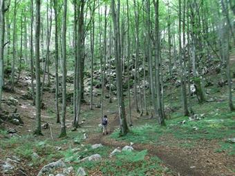 Il sentiero continua lungamente nel bosco rasentando lo scavo di una trincea, l'ingresso di una grotta parzialmente celato dalla rigogliosa vegetazione ed alcuni ruderi di antiche abitazioni.