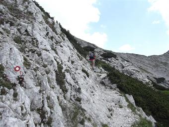 Lasciandole alla nostra destra proseguiamo verso l'alto trovando ora un sentiero sassoso rinforzato recentemente da ulteriori gradini in legno.