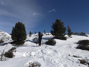 Tralasciato a destra l'AVS 33 diretto alla TaistnerAlm/M.ga di Tesido  proseguiamo in salita lungo il pendio innevato.