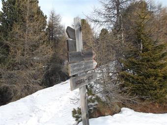 Dopo circa 1 km raggiungiamo  un bivio dove seguiamo sempre la stessa direzione di marcia, tralasciando un' altra impegnativa salita al Rudlhorn lungo l'AVS 54B, come risulta dal retro dei cartelli indicatori.