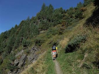 Valicato un cancello pascolivo con un ingegnoso sistema di richiusura automatica, usciamo momentaneamente dal bosco di conifere, ammirando  alcuni scorci panoramici sulla vallata sottostante.