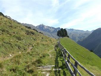 Lasciata l'idilliaca terrazza panoramica riprendiamo l'AVS 1, denominato anche Fuldaerweg/Via Fulda, costeggiando verso destra la recinzione in legno dell'alpeggio.