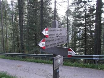 Tralasciando la tortuosa carrareccia di accesso alla malga, proseguiamo lungo l' Hartdegenweg/Via Hartdegen nella pineta, sbucando infine sulla strada  diretta alla borgata di Kofler/Covolo.