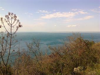 la foce dell'Isonzo in lontananza