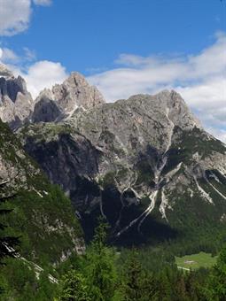 Da qui il Col Quaternà perde ogni inclinazione, appiattendosi all’orizzonte: un lunghissimo giardino all’inglese che termina con lo sbuffar d’una talpa, uscita nottetempo dal suo mucchio di terriccio per annusare il cielo. Un Gallo Forcello si tuffa fra i