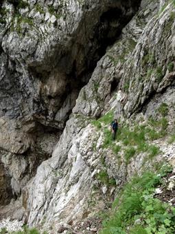 Qualche tratto risulta eroso o smottato, ma se siete giunti fino a qui non troverete il bisogno di aggirarlo. I parchi segnavia sono sempre  presenti e non lasciano adito a dubbi, garantendo un veloce aggiramento sotto le pareti della Prima Pala che paion