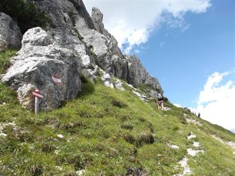 VARIANTE IN DISCESA (Dalla foto 27): Raggiunto il bivio con il sentiero CAI 165, abbandoniamo definitivamente il CAI 195 diretto alla Forcella Longerin, e saliamo ripidamente a sinistra verso le turrite pareti rocciose.