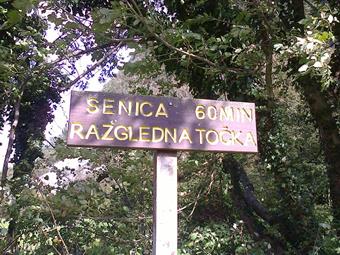 Esaminando più attentamente la cartina ci sono alcuni sentieri che portano sul Senica, così sulla strada che dalla frazione di Modrej porta verso sud-est a Bača pri Modrej, abbiamo imboccato il sentiero segnalato. 