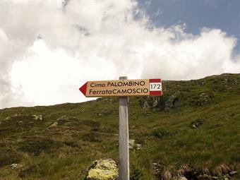 In corrispondenza dell'utimo tornante si stacca a sinistra la Ferrata Camoscio, percorso attrezzato di media difficoltà verso la panoramica vetta della Cima Palombino/Porze.