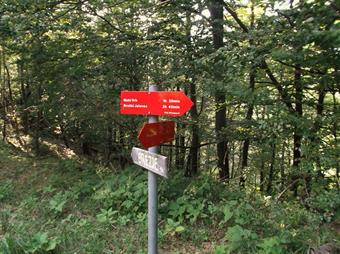 Dopo aver rasentato i miseri resti della Planina Ohoje, il percorso segnalato inizia una ripida discesa nel bosco, raggiungendo infine un tratturo con ulteriori indicazioni.