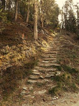Il percorso segnalato, rientrato nell'ombrosa Ahornacher Wald/Selva di Acereto, s'inerpica decisamente, rivelando dei tratti scalinati di antica e pregevole fattura, frutto della secolare opera dei montanari locali.