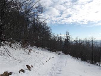 Volendo evitare la salita alla vetta  principale del Lipovec, immersa parzialmente nella boscaglia e poco panoramica, si può seguire verso levante in discesa lo sterrato proveniente da levante (citato nel post 19), non segnalato sulle cartine escursionist