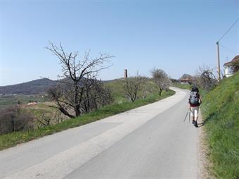 Dal villaggio, oggi sede di alcune aziende agricole e vitivinicole, scendiamo lungo la rotabile asfaltata, fino all'incrocio successivo, dove svoltiamo a destra, seguendo ora le segnalazioni dell'Alpe Adria Trail, percorso collegante Carinzia, Slovenia e 