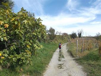 Senza entrare nel cuore del borgo, giunti nei pressi di un'ancona, svoltiamo a destra, seguendo sempre il percorso 3 e l'AAT, uscendo in breve dall'abitato lungo una carrareccia.