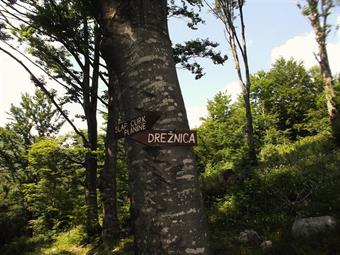 Giunti al termine dello sterrato, un cartello indica una possibile discesa all'abitato di Drežnica, mentre il sentiero segnalato prosegue in salita alla nostra destra.
