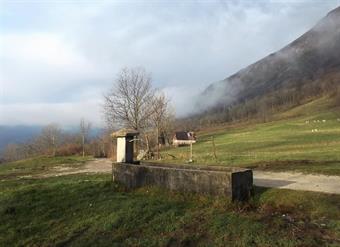 Un sentiero segnalato con bolli biancorossi della PZS, permette di tagliare i numerosi tornanti, raggiungendo infine la radura con l'abbeveratoio Pri Koritu, dove avremo lasciato ad attenderci la seconda vettura.