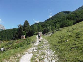 La rotabile asfaltata si tramuta in breve in carrareccia ed alla biforcazione successiva, seguiamo ancora a destra le indicazioni dirette alle planine Kal e Razor, tralasciando quelle inerenti la planina Prode.