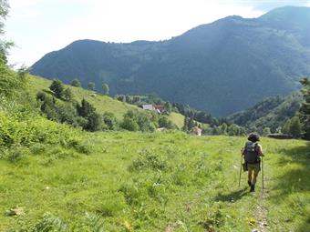 Dall'alpeggio ripercorrendo a ritroso la via dell'andata, facendo attenzione a mantenere la giusta direzione ai vari bivi incontrati lungo il percorso, arriviamo infine a Čadrg ed al parcheggio.