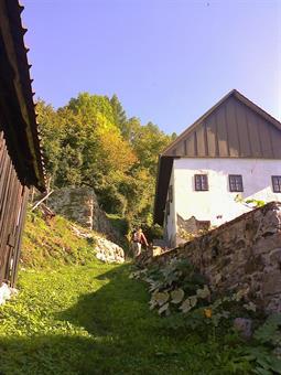 Una stretta stradina porta in breve al villaggio di Bača pri Podbrdu,  dove troviamo le successive indicazioni dirette a Vrh Bače e Petrovo Brdo, ed una mulattiera oltre le ultime case, conduce in salita attraverso il rigoglioso bosco.