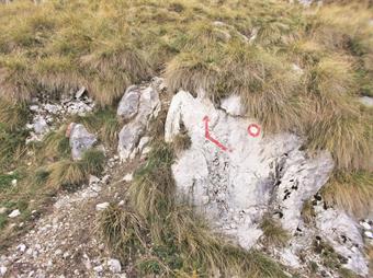 Risalendo un tornante della strada d'accesso all'alpeggio, noteremo su una roccia a destra il caratteristico bollo della PZS ed una freccia rossa, ma nessuna indicazione sulle destinazioni intermedie o finali del sentiero.