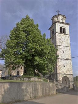 Nella parte bassa dell'abitato svetta il campanile della chiesa di Sv. Tilna/S. Egidio con accanto il maestoso tiglio cinquecentenario, sotto il quale gli abitanti si riunivano e discutevano i problemi della locale comunità. 