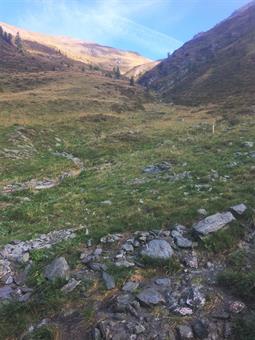 Il sentiero segnalato prosegue in versante orografico sinistro del torrente Val Carnia e diversi paletti in legno recentemente ripristinati dal CAI Val Comelico indicano la giusta via da seguire, evitando i fraintendimenti del recente passato.