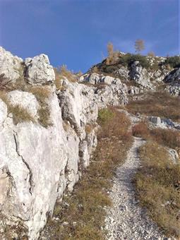 Seguendo ora l'ottima descrizione di Ivo e Sandra "Anello del monte Robon da Sella Nevea", percorrendo una ripida mulattiera a tornanti, raggiungiamo l'altipiano del Poviz, tralasciando poco prima a destra una diramazione diretta al Rifugio Gilberti.