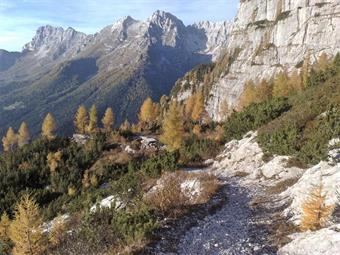 La discesa lungo la Mulattiera del Poviz, già percorsa all'andata, conclude l'escursione con l'arrivo a Sella Nevea.