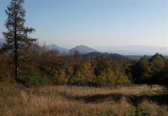 La sagoma del Monte Sabotino lungo il sentiero per il Collio Sloveno/Brda...