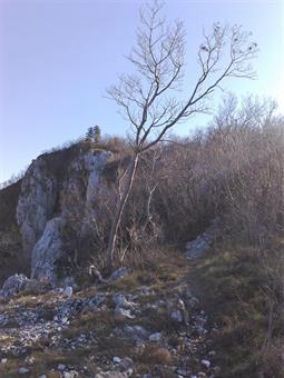 Proseguendo lungo la dorsale, vertiginosamente affacciata sulla destra orografica della Soča/Isonzo, s'intravvedono in lontananza le pendici rocciose della Punta San Mauro. 