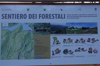 Sentiero dei Forestali dal Lago di Selva (Val Silisia)
